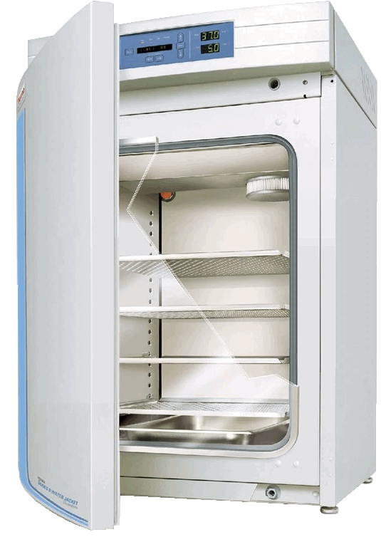 ThermoFisher Forma 3111 water jacket CO² incubator