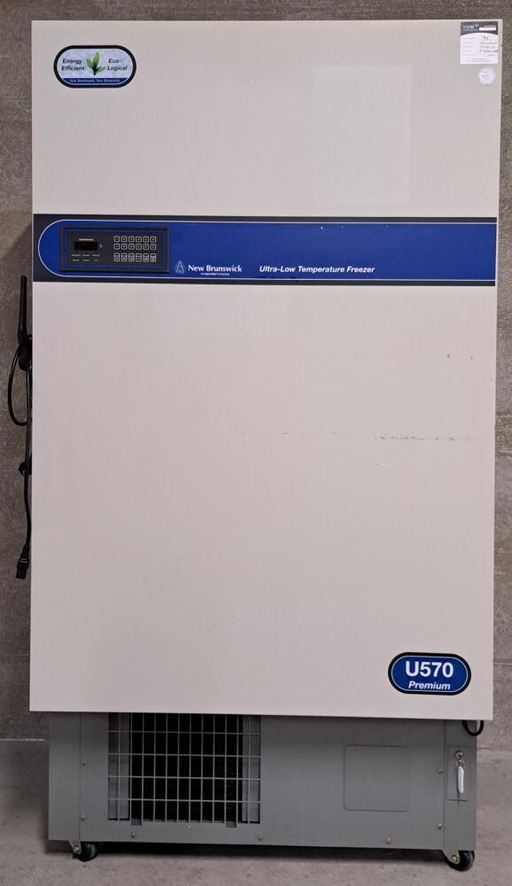 Occasion Eppendorf U570-45 -40°C vrieskast